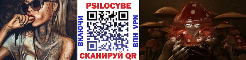 Галлюциногенные грибы GOLDEN TEACHER  omg зеркало  Вилючинск 